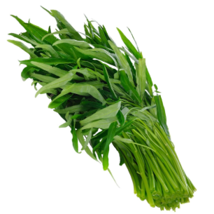 Kangkong
