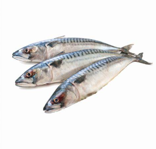 Mackerel fish 1 kg